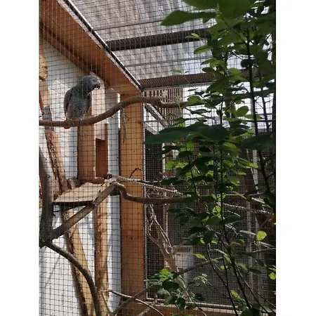 펜션 Comfort Comfortable 베르니게로데